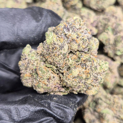 Blue Nerdz THCA Flower – Exotic Indoor Hybrid | CaliGreenGold - CaliGreenGold