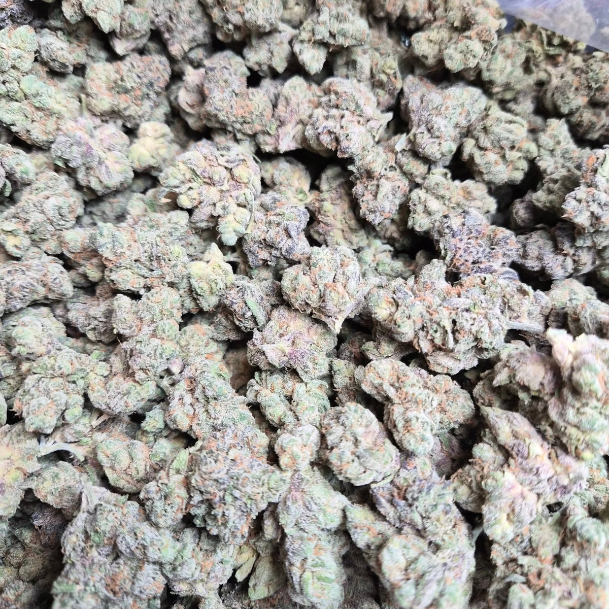 Blue Razz Kush THCA Flower – Indoor Exotic Hybrid | CaliGreenGold - CaliGreenGold