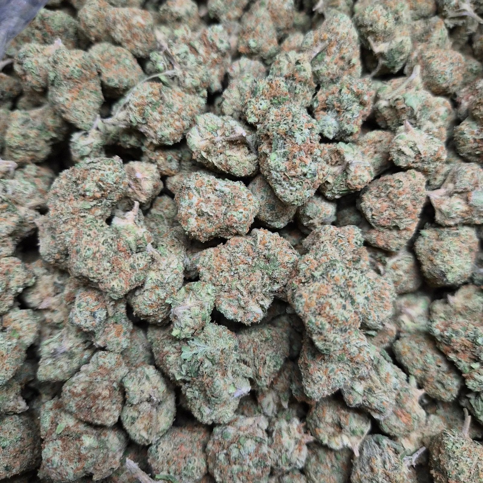 Blueberry Lemonade THCA Flower – Indoor Indica | CaliGreenGold - CaliGreenGold