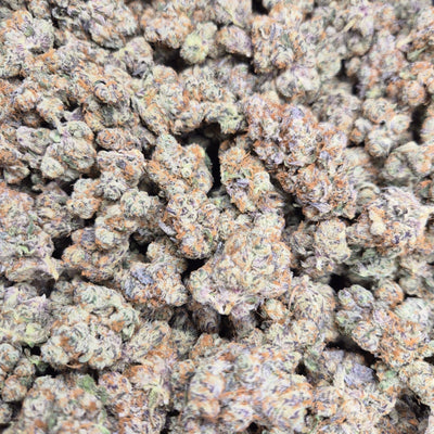 Blueberry Pie Exotic Indoor THCA Flower Hybrid - CaliGreenGold