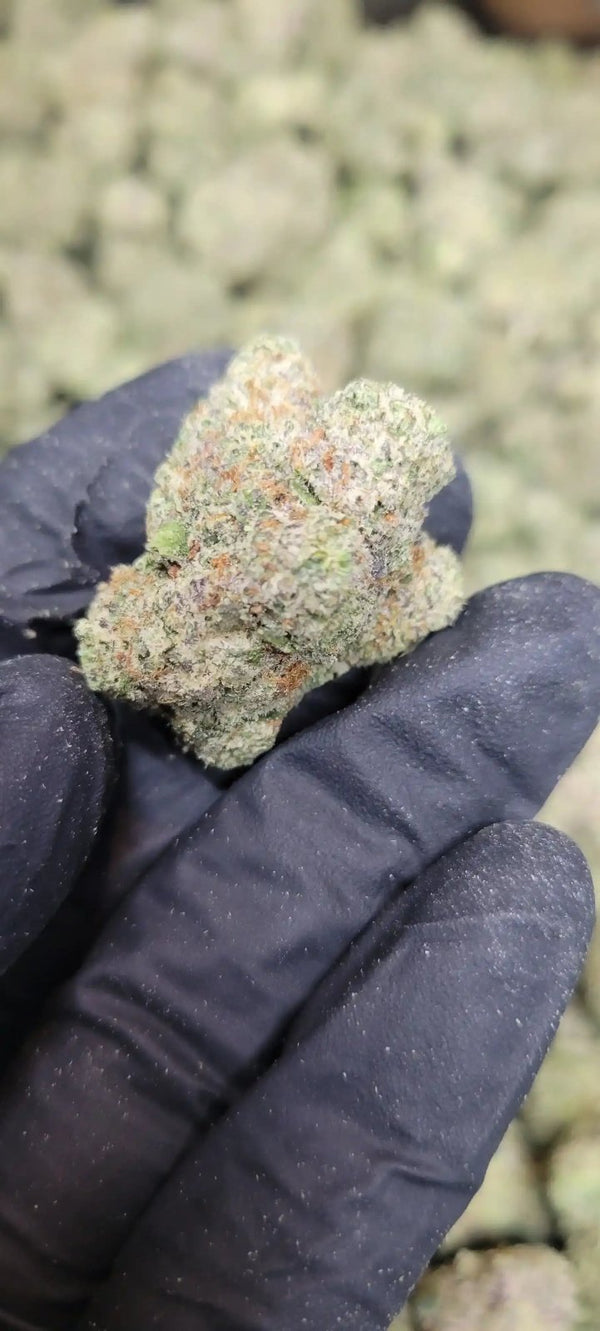 Brooklyn Runtz Exotic Indoor THCA Flower Hybrid - CaliGreenGold