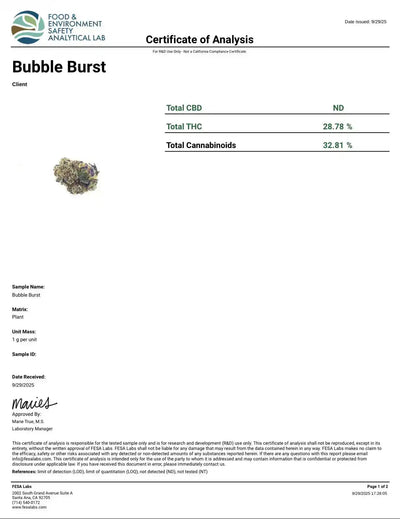 Bubble Burst Exotic Indoor THCA Flower Indica - CaliGreenGold