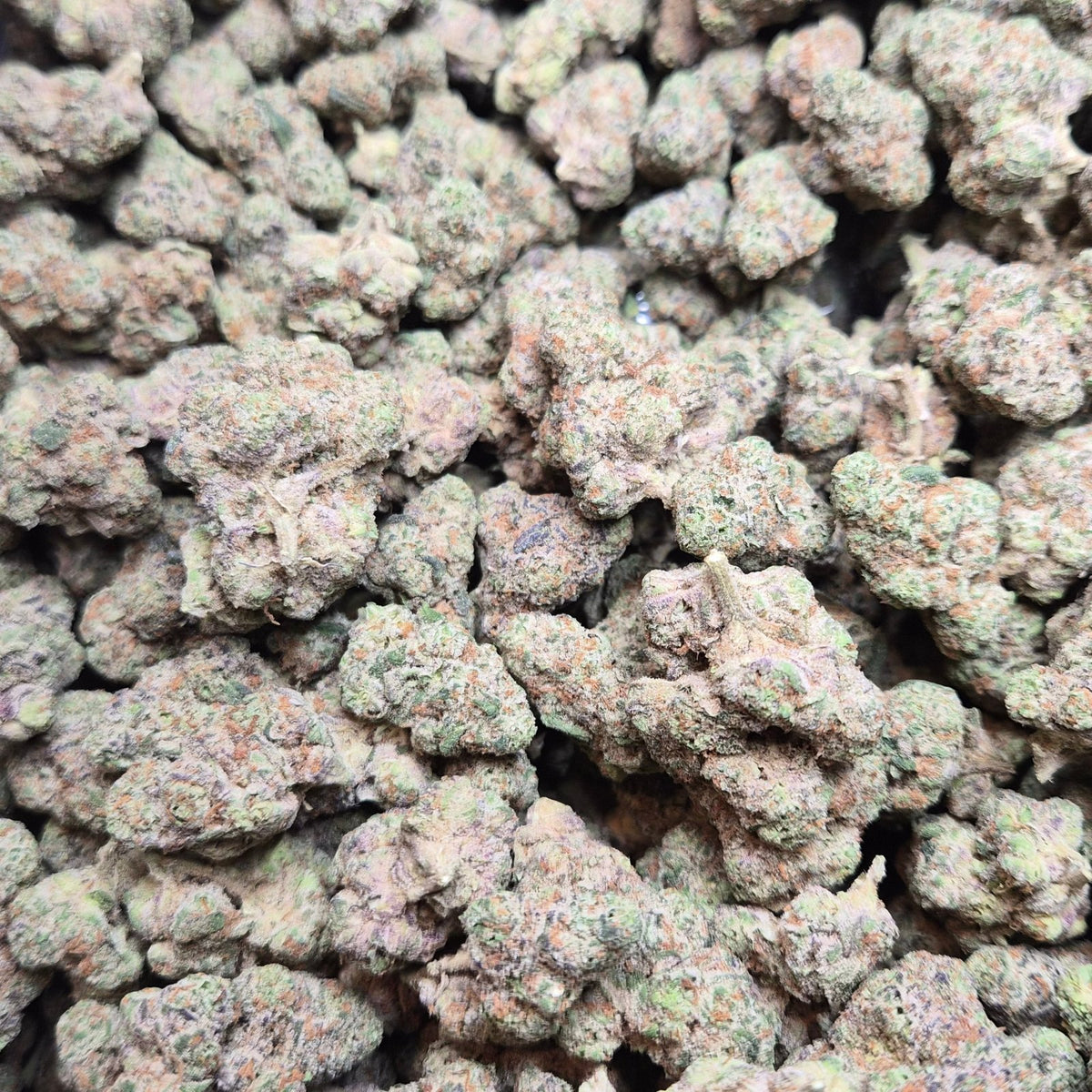 Cadillac Rainbow Exotic Indoor THCA Flower Indica - CaliGreenGold