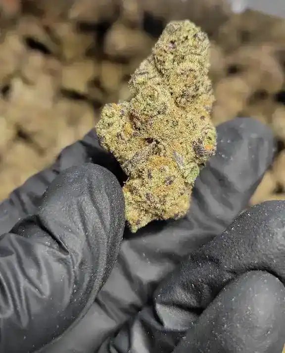 Cadillac Rainbow Exotic Indoor THCA Flower Indica - CaliGreenGold