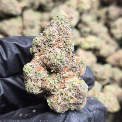 Cadillac Rainbow Exotic Indoor THCA Flower Indica - CaliGreenGold