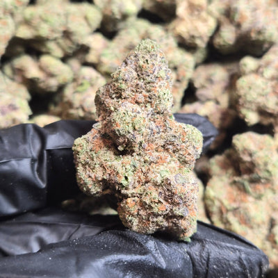 Cadillac Rainbow THCA Flower – Indoor Exotic Indica | CaliGreenGold - CaliGreenGold