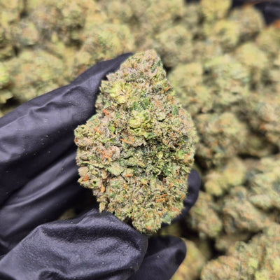 Cal Fire Exotic Indoor THCA Flower Hybrid - CaliGreenGold