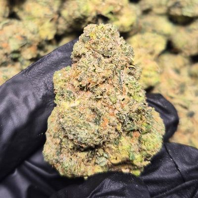 Cali Octane High THCA Flower Indica - CaliGreenGold
