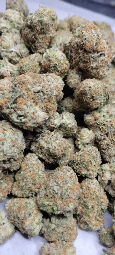 Apple Jack Exotic Indoor THCA Flower Hybrid, HYBRID, CaliGreenGold