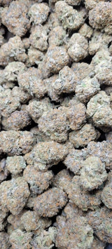 Applescotti Exotic Indoor THCA Flower Hybrid, HYBRID, CaliGreenGold