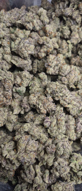 Blueberry Pie Exotic Indoor THCA Flower Hybrid, HYBRID, CaliGreenGold