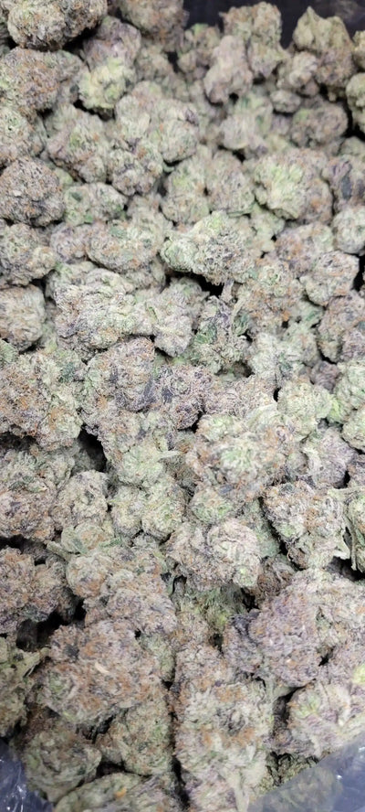 Bubblegum Runtz Exotic Indoor THCA Flower Hybrid, HYBRID, CaliGreenGold