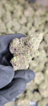 Double Runtz High THCA Flower Hybrid, HYBRID, CaliGreenGold