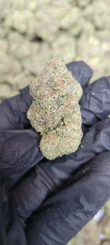 Bubble Burst Exotic Indoor THCA Flower Indica, INDICA, CaliGreenGold