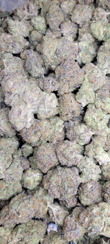 Purple Raine High THCA Flower Indica, INDICA, CaliGreenGold