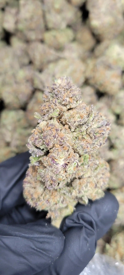 Purple Raine High THCA Flower Indica, INDICA, CaliGreenGold