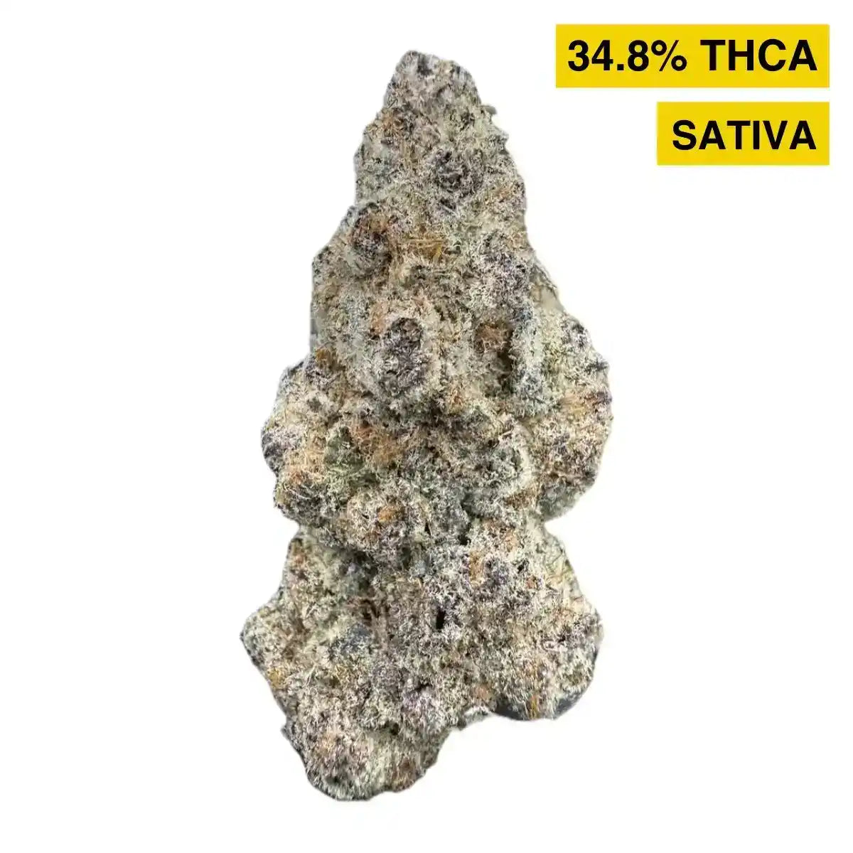 Alabama Slamma Exotic Indoor THCA Flower Sativa, SATIVA, CaliGreenGold