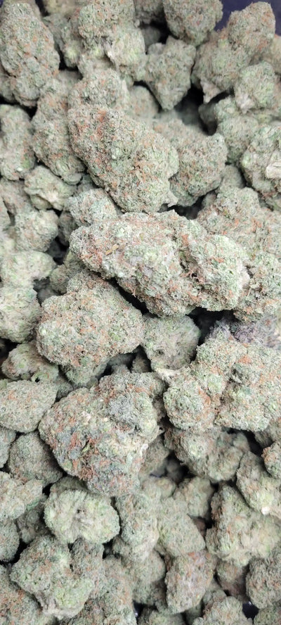 Alabama Slamma Exotic Indoor THCA Flower Sativa, SATIVA, CaliGreenGold