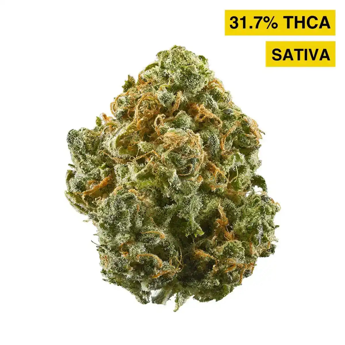 Blue Gelonade Exotic Indoor THCA Flower Sativa, SATIVA, CaliGreenGold