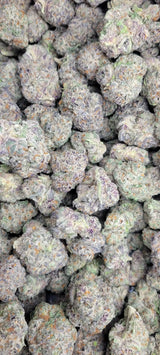 Candyland Exotic Indoor THCA Flower Sativa, SATIVA, CaliGreenGold