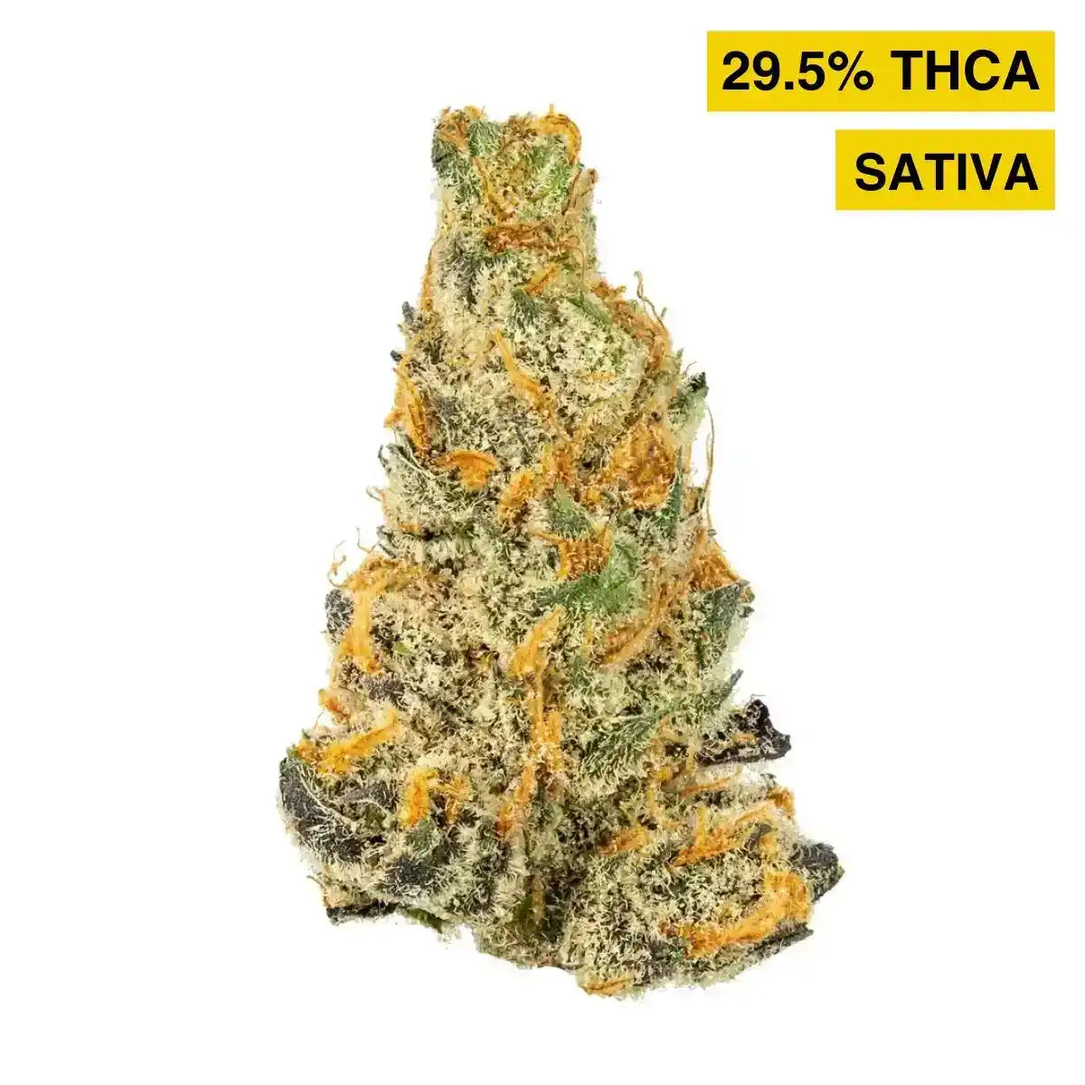 Dark Phoenix Exotic Indoor THCA Flower Sativa, SATIVA, CaliGreenGold