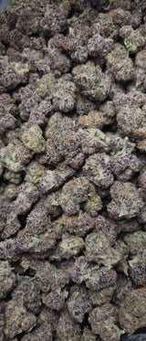 Guavanade Exotic Indoor THCA Flower Sativa, SATIVA, CaliGreenGold