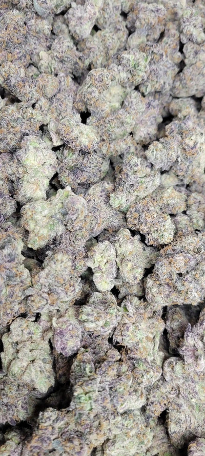 Candie Funk Exotic Indoor THCA Flower Hybrid - CaliGreenGold