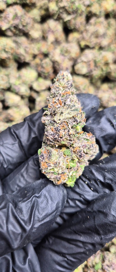 Candy Cartel Exotic Indoor THCA Flower Hybrid - CaliGreenGold