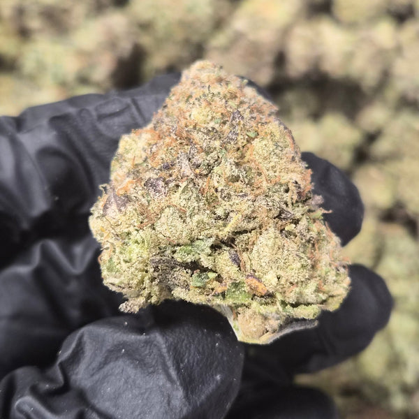 Candy Gas THCA Flower – Hybrid · Indoor Top Shelf - CaliGreenGold