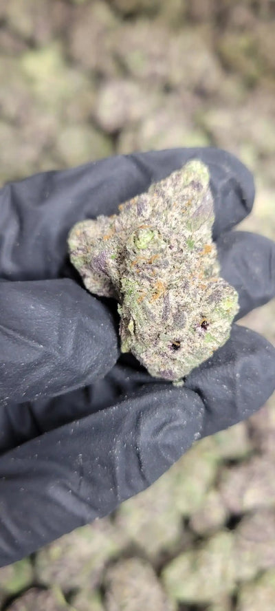 Candy Gelato Exotic Indoor THCA Flower Hybrid - CaliGreenGold