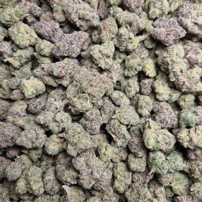 Candy Gelato THCA Flower – Hybrid · Indoor Exotic - CaliGreenGold