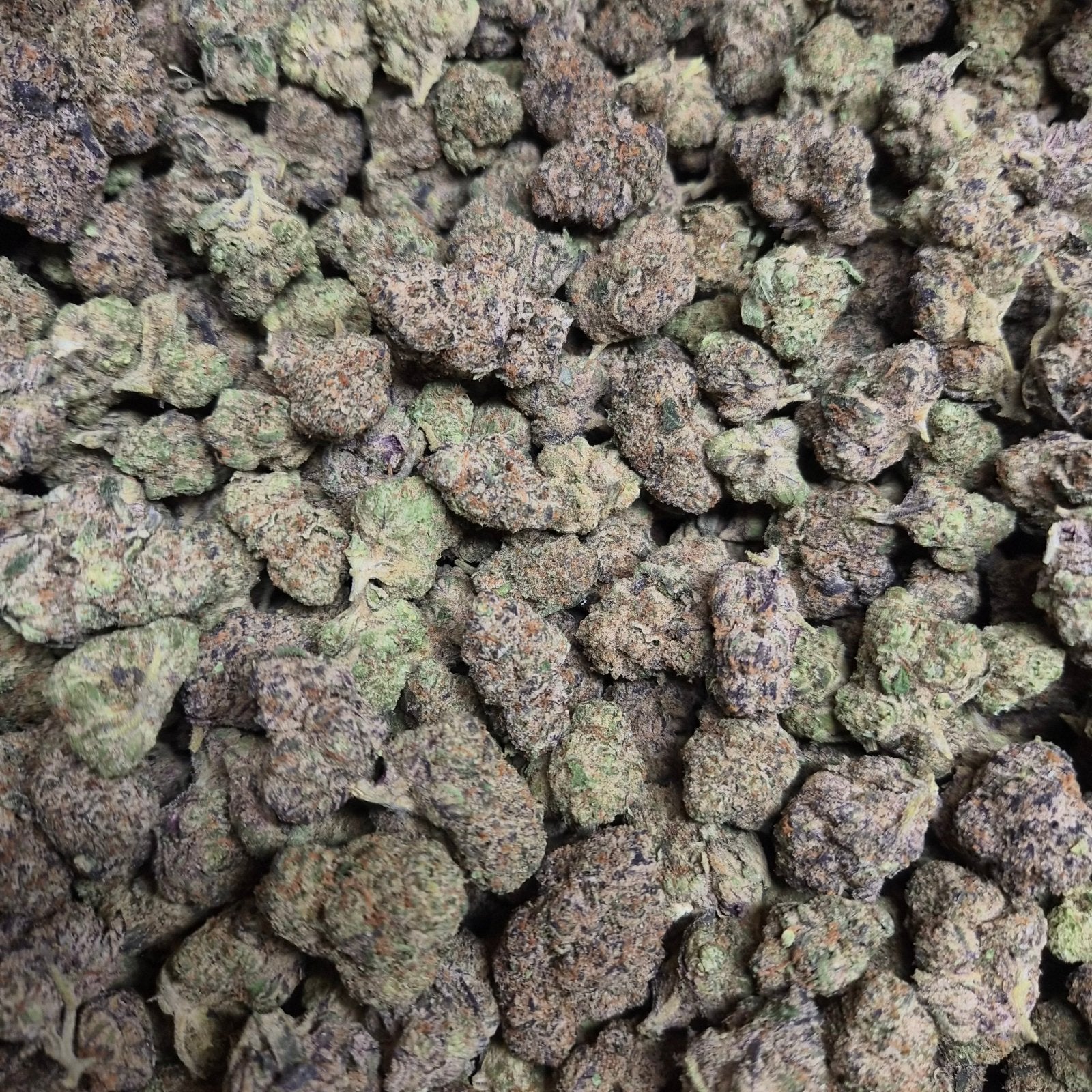 Candy Zaza THCA Flower – Indoor Top Shelf Indica | CaliGreenGold - CaliGreenGold