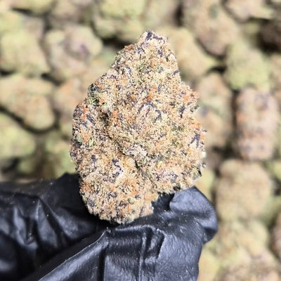 Candy Zaza THCA Flower – Indoor Top Shelf Indica | CaliGreenGold - CaliGreenGold