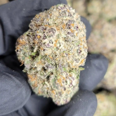 Candyland Exotic Indoor THCA Flower Sativa - CaliGreenGold