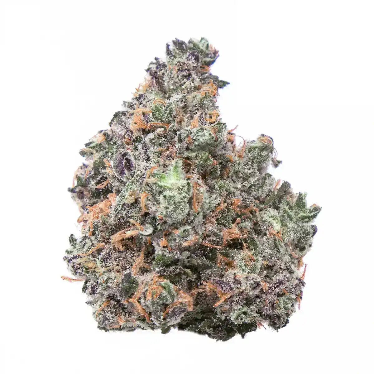 Candyland Exotic Indoor THCA Flower Sativa - CaliGreenGold