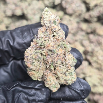 CARBON FIBER THCA Flower – Indoor Exotic Hybrid | CaliGreenGold - CaliGreenGold