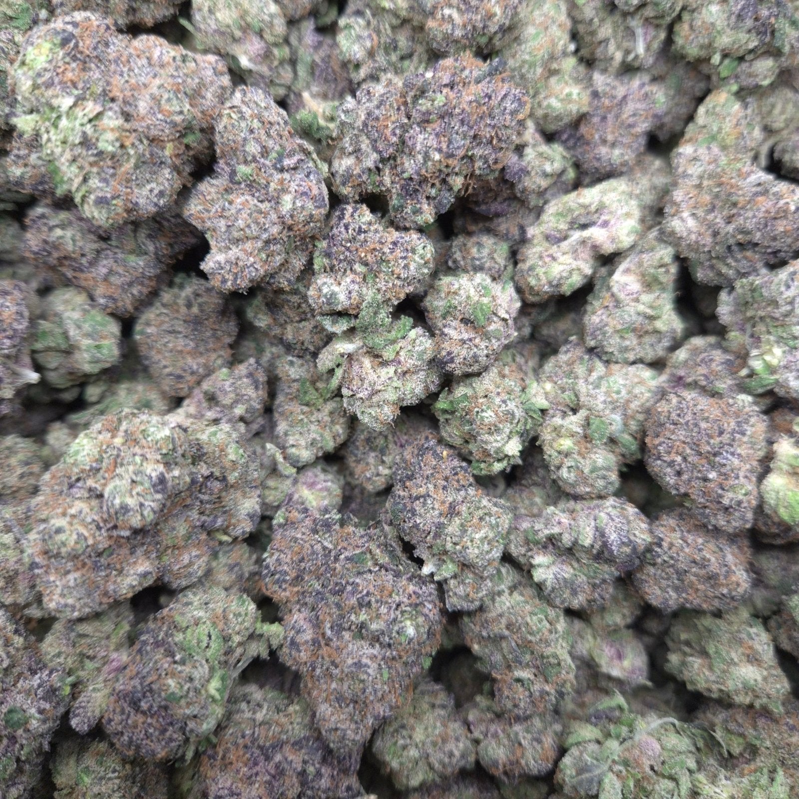 Cherry Drop THCA Flower – Indoor Exotic Hybrid | CaliGreenGold - CaliGreenGold
