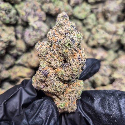 Cherry Garcia Exotic Indoor THCA Flower Hybrid - CaliGreenGold
