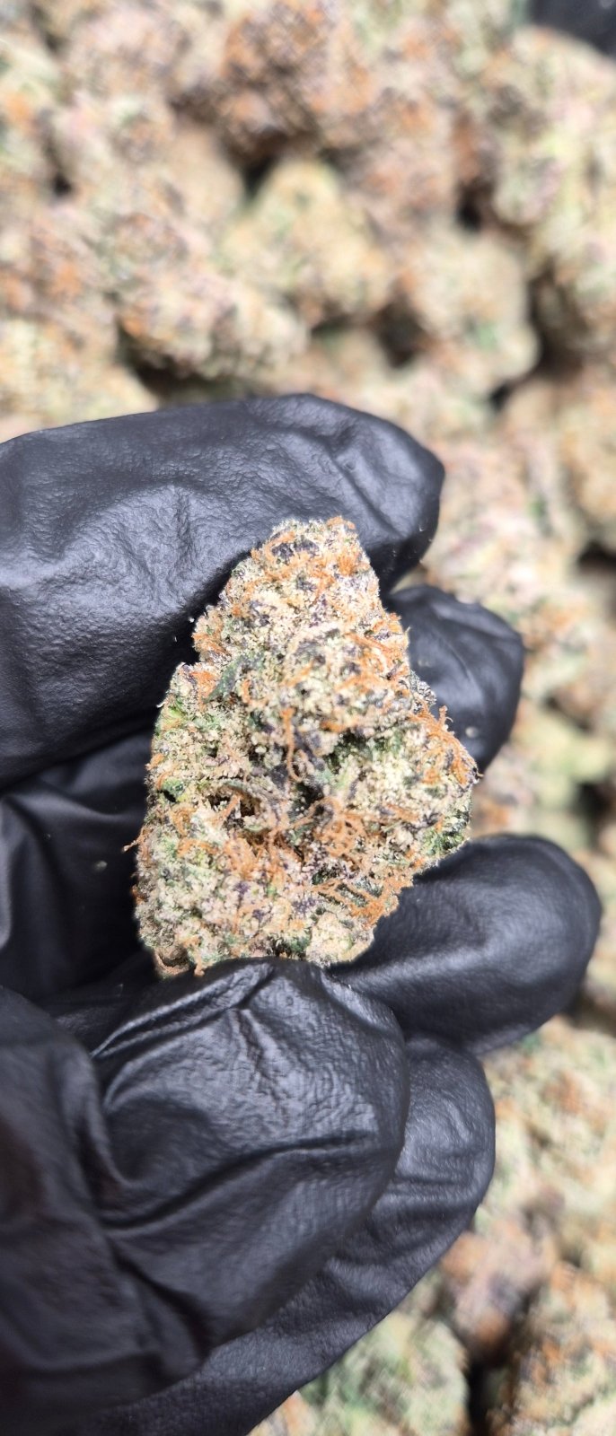 Cherry Pie Exotic Indica THCa Flower | CaliGreenGold