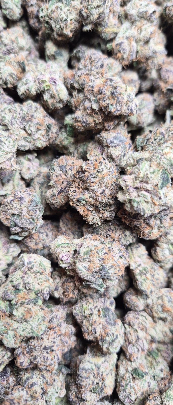 Cherry Pie Exotic Indoor THCA Flower Indica - CaliGreenGold