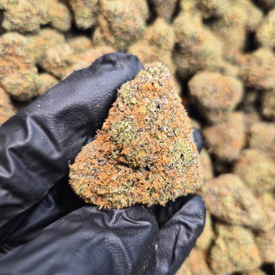 Cherry Thunder Fuck Exotic Indoor THCA Flower Indica - CaliGreenGold