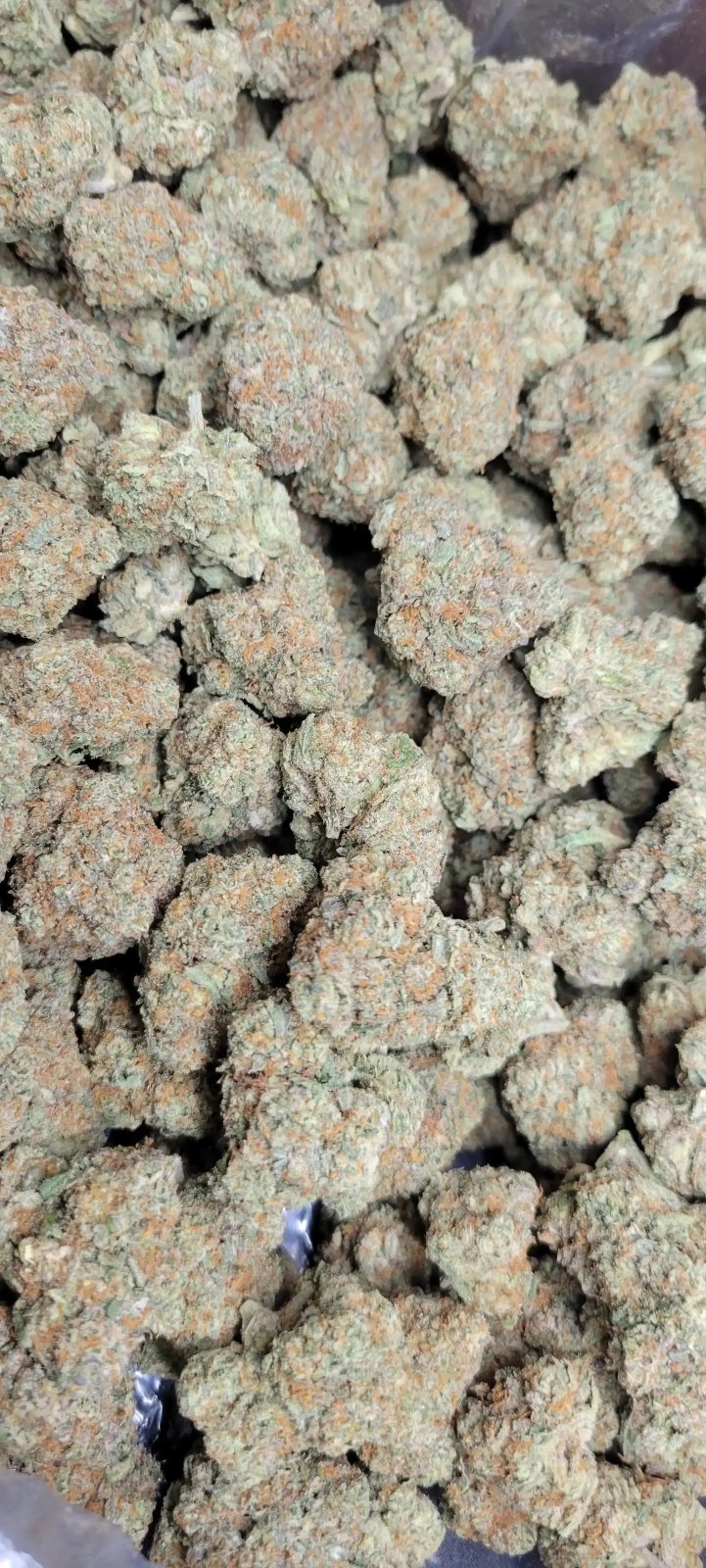 Creamsiclez High THCA Flower Hybrid - CaliGreenGold