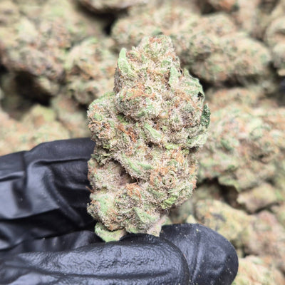 Crunch Berries THCA Flower – Indoor Top Shelf Indica | CaliGreenGold - CaliGreenGold