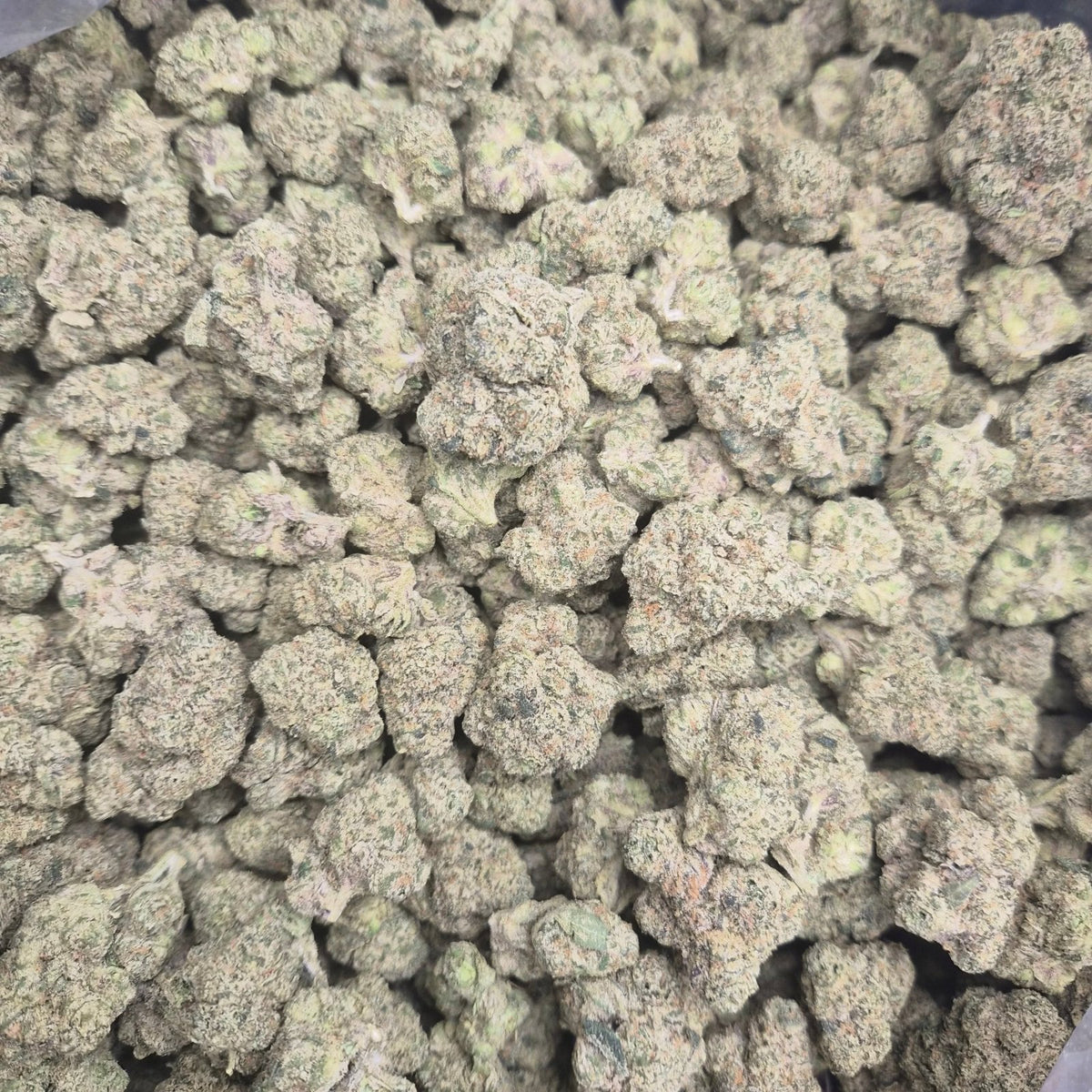 Dire Wolf THCA Flower – Indoor Top Shelf Hybrid | CaliGreenGold - CaliGreenGold