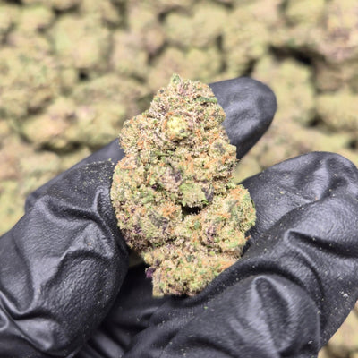 Donny Burger Exotic Indoor THCA Flower Hybrid - CaliGreenGold