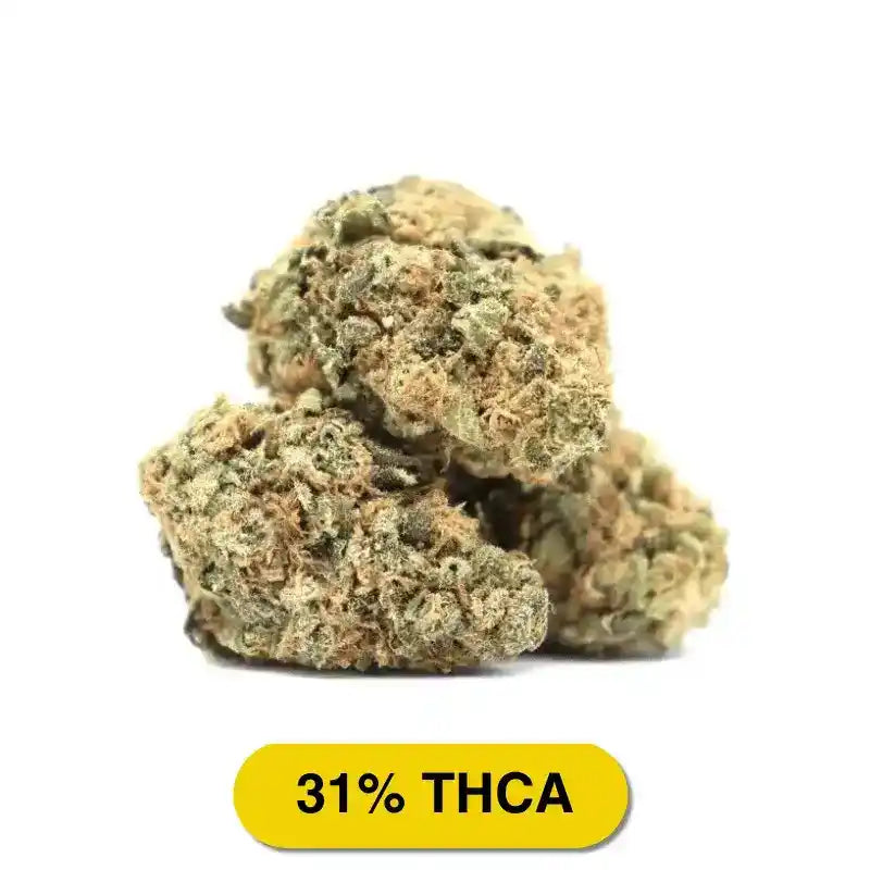 DURBAN COOKIES High THCA Flower Sativa - CaliGreenGold