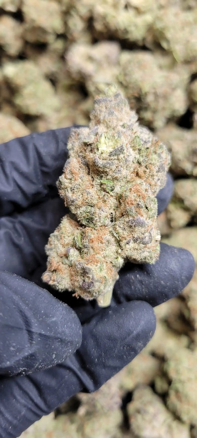 Electric Strawberry Cough Exotic Indoor THCA Flower Sativa - CaliGreenGold