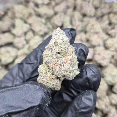 Frosted Cherry Bomb THCA Flower – Hybrid Indoor Exotic | CaliGreenGold - CaliGreenGold