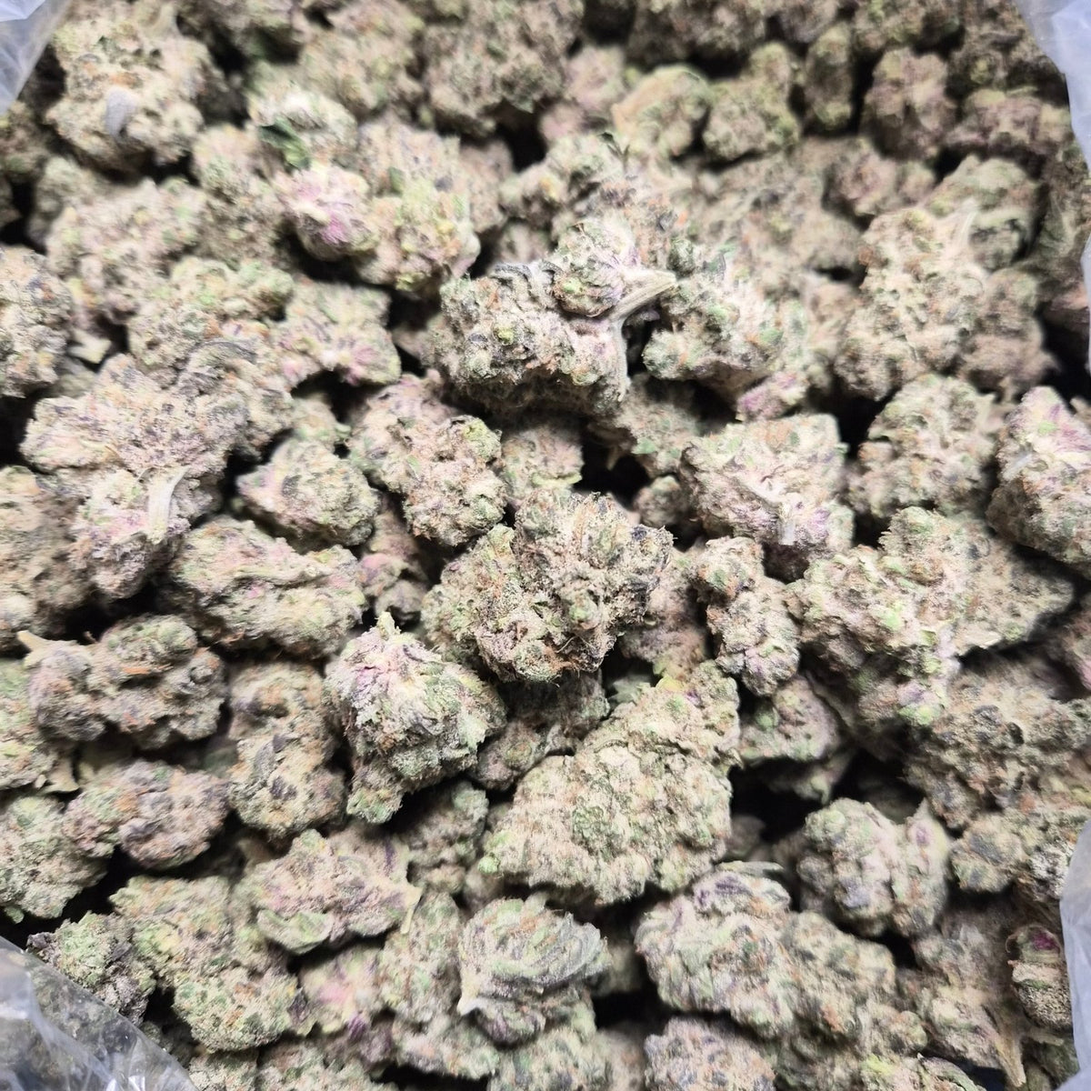 Frosted Cherry Gumbo THCA Flower – Indoor Top Shelf Indica | CaliGreenGold - CaliGreenGold