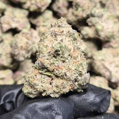 Frosted Cherry Gumbo THCA Flower – Indoor Top Shelf Indica | CaliGreenGold - CaliGreenGold